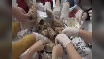 Çankırılı minik yüreklerden örnek hayvan sevgisi