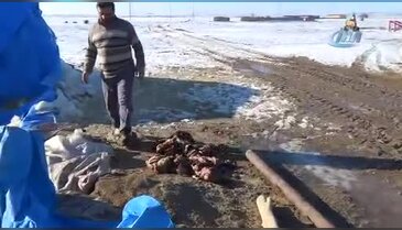 500 kuzusu ölen adam yardım bekliyor