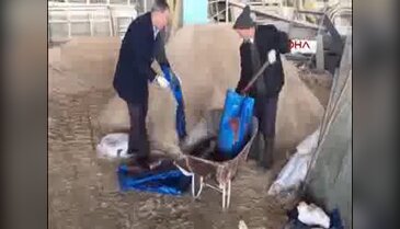 Başhekimin bilgisiyle tam teşekküllü ambulansla kum taşıdılar