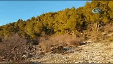 Manavgat'ta vahşi hayvanlar tarafından parçalanmış erkek cesedi bulundu