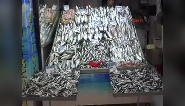 Hava düzelince balık çeşidi arttı