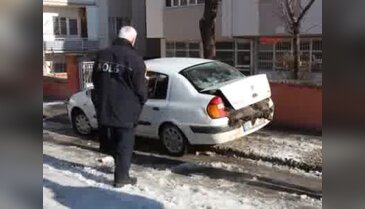 Otomobil bagajında ölü domuzlar