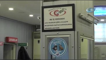 İstanbul Büyükçekmece esnafına 'hayvan dostu' stickeri