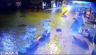 Elektrik kaçağı köpeği öldürdü, sahibini yaraladı