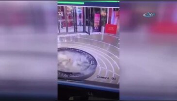 Cep telefonu tutkusu onu havuza düşürdü