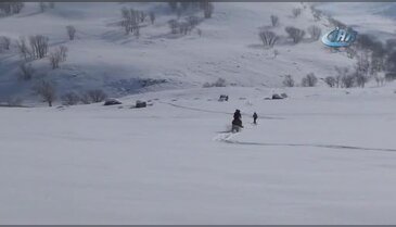 Ulaşımlarını kızakla sağlıyorlar
