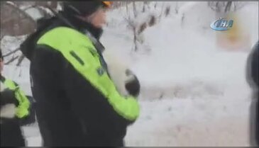 Çığ felaketinden 5 gün sonra 3 köpek yavrusu kurtarıldı