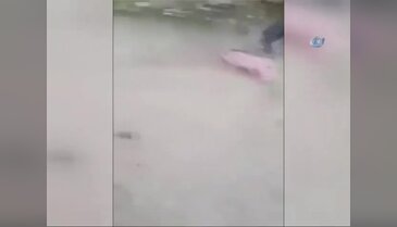 Musul'da üç genç kurşuna dizildi