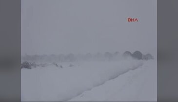 Eksi 46 dereceyi gören Çaldıran'da serada domates üretiliyor