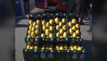 Bursa'da Hollanda'ya üçüncü ihracat