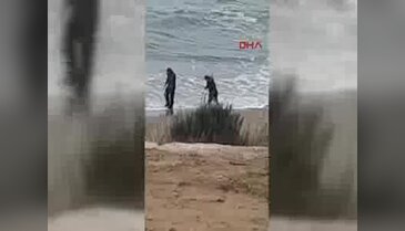 Haberi alan herkes sahile koştu!