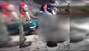 Bu görüntüler hayvanseverleri çok kızdıracak