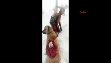 Sosyal medyayı sallayan fotoğrafın sırrı ortaya çıktı
