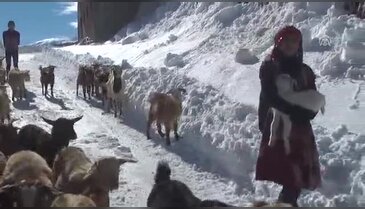 Rizeli 'Heidi' sosyal medyadaki "o" fotoğrafı anlattı