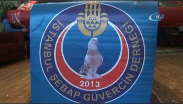 Lüks araç fiyatına güvercin