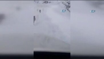 Elazığ'da 'kırmızı liste'deki vaşaklar görüntülendi