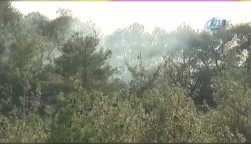 Adana'da orman yangını