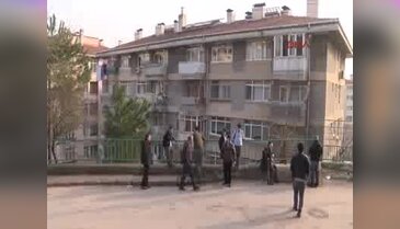 İtfaiyenin kurtarmaya çalıştığı kedi ağaçtan atladı