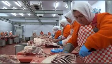 Bursa'da 200 kadın kasap binlerce ton et işliyor