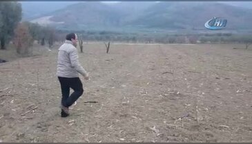 Bursa'da bu tarlalara köstebek değil hırsız dadandı