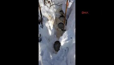 Tunceli'de ele geçirildi!