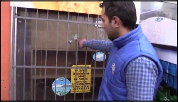 Hırsızlar 'kurşun geçirmez' denilen camı tekmeyle kırdı