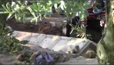 Bursa'da lahit fışkıran bölgenin adı 'Ölüler Şehri'