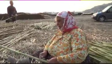 Kargının hayat bulduğu mahalle
