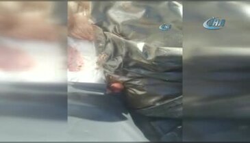 Söke'de işlenmiş 200 kilo kaçak domuz eti yakalandı
