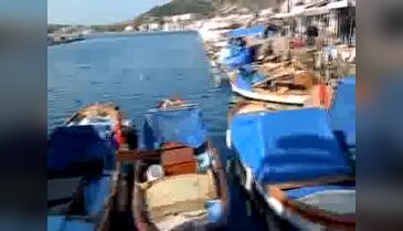 Şubat'ta Foça'da deniz keyfi