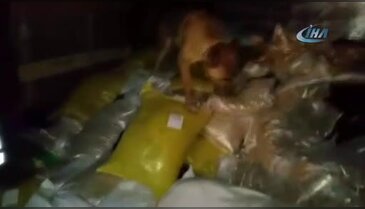 Kuş yemlerinin arasından 244 kilo uyuşturucu çıktı