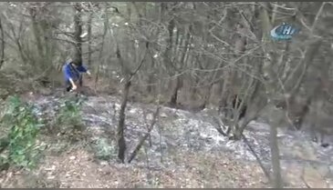 Bursa'da orman yangını