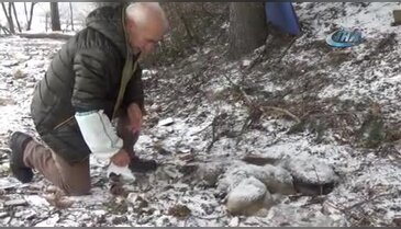 Bursa'da yavru köpekler birbirlerine sarılarak dondu