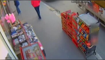 Batman'da ceviz hırsızı kamerada