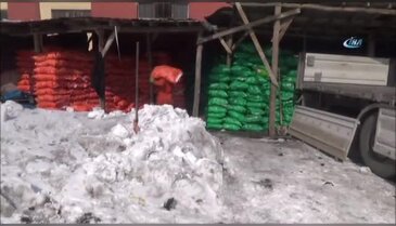 Üniversite öğrencisi kömür taşıyarak okuyor