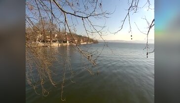 Bursa Gölyazı sazlıklardan temizleniyor