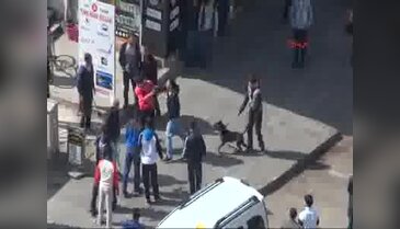 Diyarbakır'da satırlı, sopalı, pitbullu kavga!