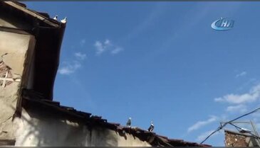 Bursa'da kuş gribi iddialarına cevap geldi