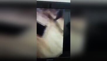 Sinan Oğan konuşurken saldırıya uğradı