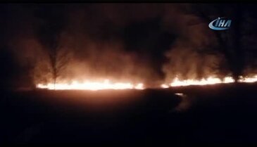 Sakarya'da 5 hektarlık sazlık alan yandı