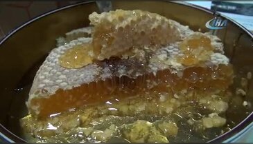 Bingöl'den Karatay'a cevap geldi!