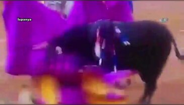 Kurban bu kez matador oldu