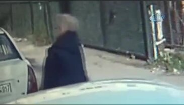 Bodrum'da köpekleri zehirledi! Gülerek uzaklaştı...
