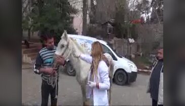 Kuyruğunu kesip, kör ettikleri atı sokağa attılar