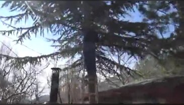 Tokat'ta ağaçta mahsur kalan kediyi kurtardı