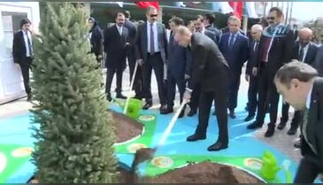 Cumhurbaşkanı Erdoğan, ağaç dikti