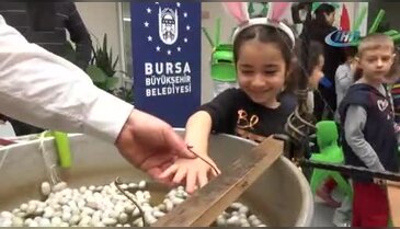 Minik öğrenciler Bursa ipeğini öğreniyor