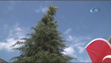 Bursa Osmangazi'de okul bahçesi yeşillendirildi
