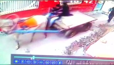 Ölen arkadaşlarının evini at arabasıyla soydular