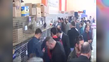 Bursa'da rengarenk yumurtalara ilgi büyük